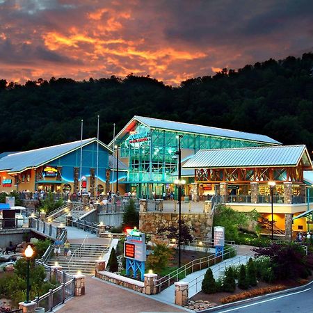 The Solstice - Amenities Galore Mountain Retreat Gatlinburg Εξωτερικό φωτογραφία