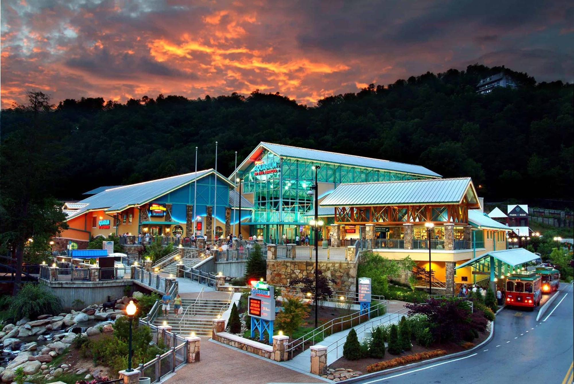 The Solstice - Amenities Galore Mountain Retreat Gatlinburg Εξωτερικό φωτογραφία